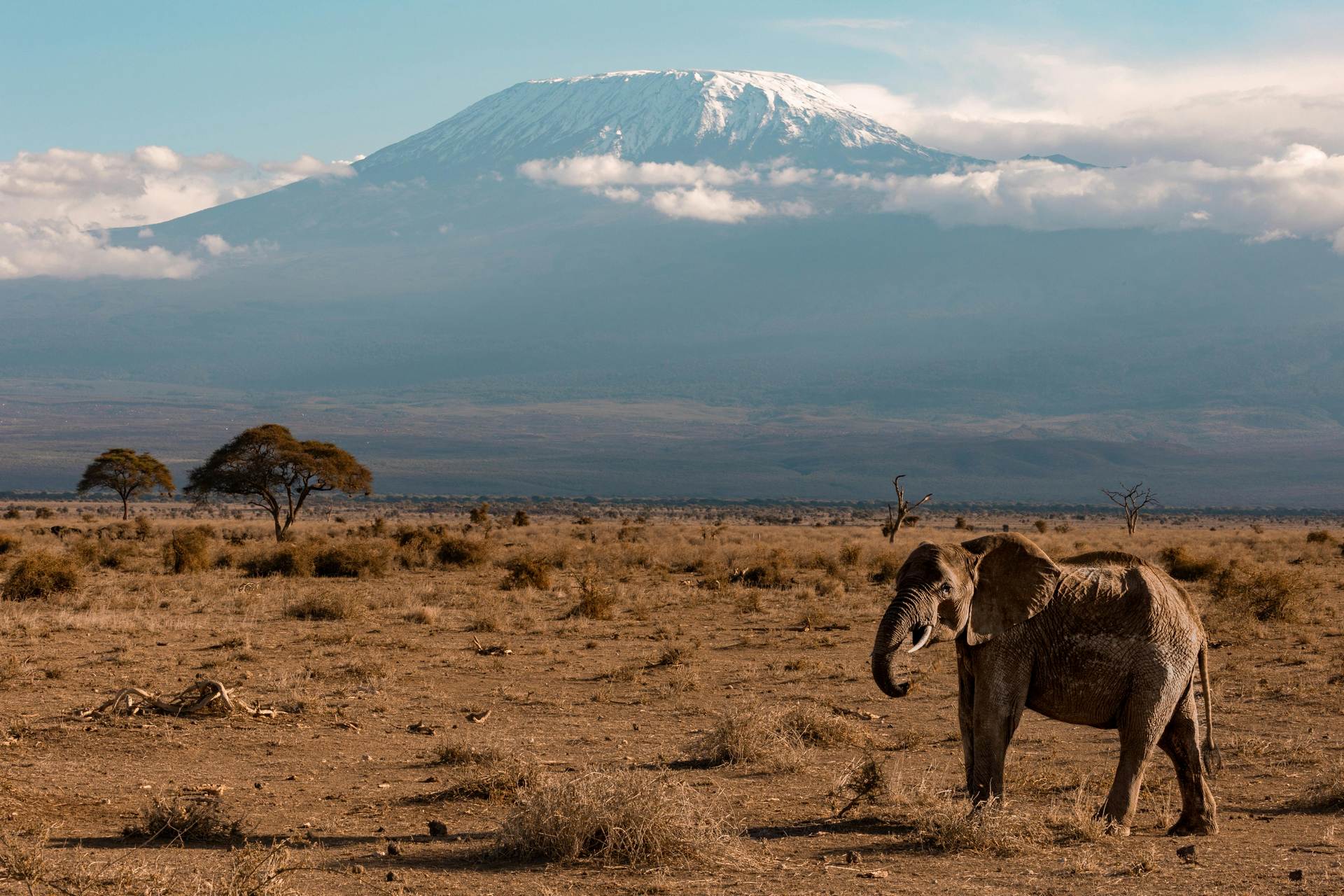 kilimanjaro-view-kibo-safari-kenya